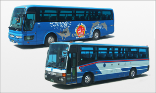 vehicleinfo55