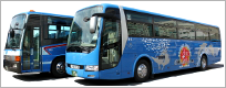 Vehicle Information.