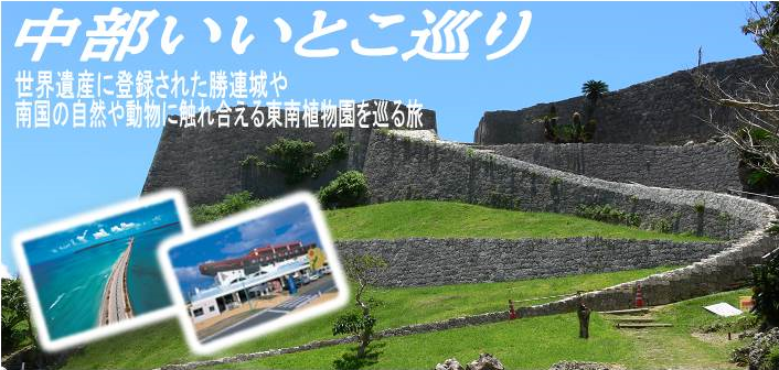 中部メイン